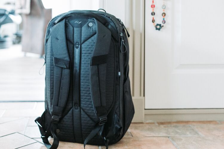 The backpanel of the Peak Design 45L Travel Backpack